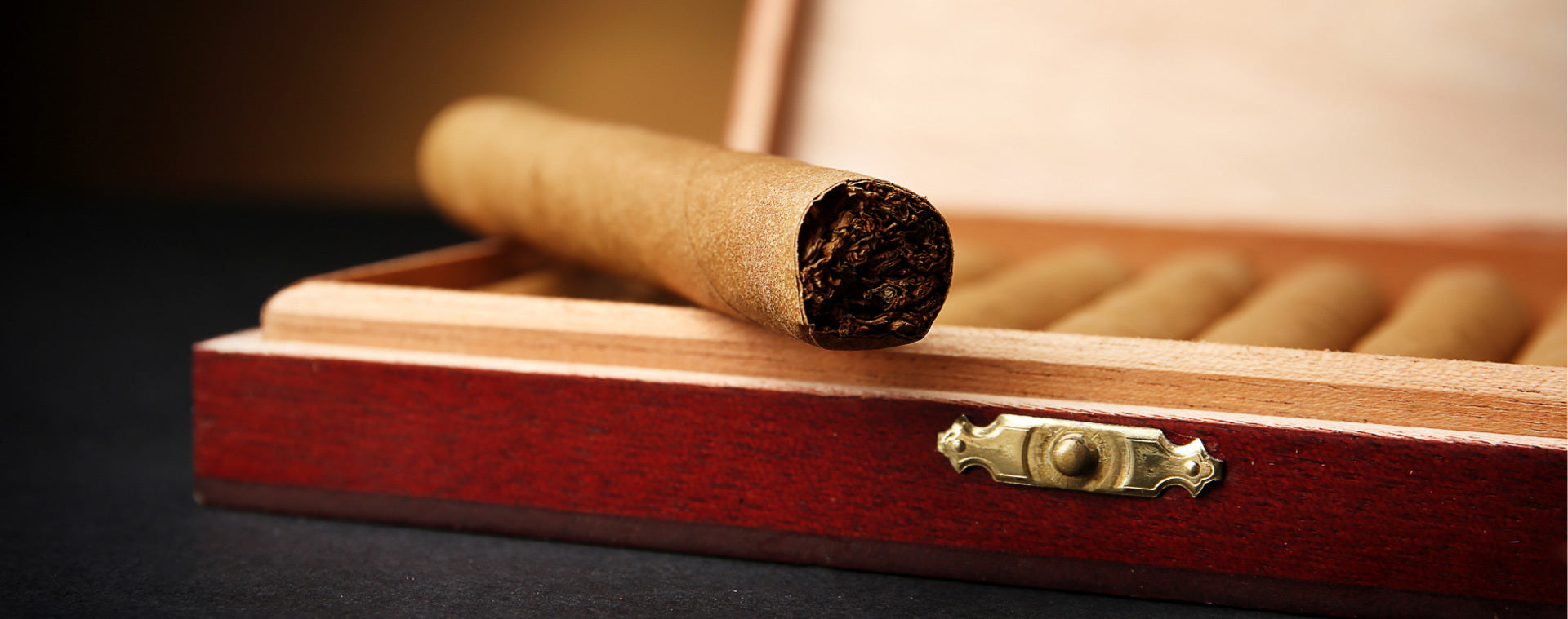 Best Cigar Humidifiers for Home Use
