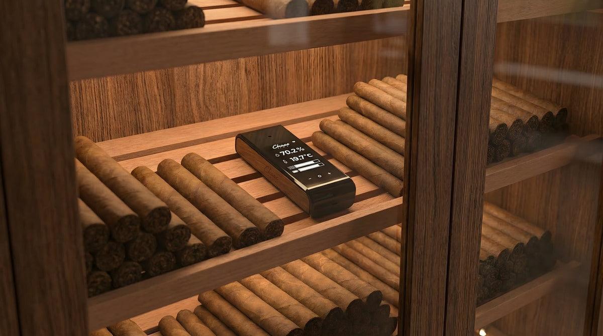 How Dry is Too Dry? Recovering Over-Dried Cigars
