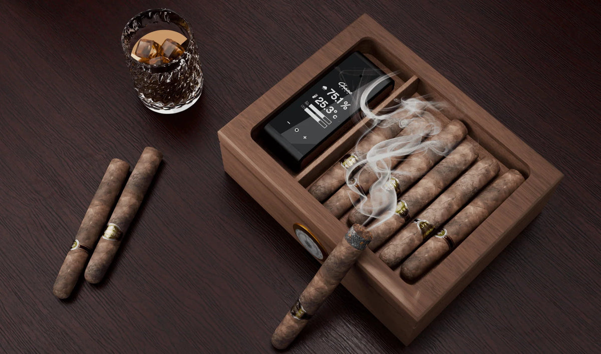 How Long Can Cigars Be Stored Without Losing Quality?